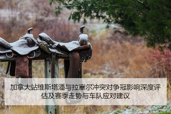 加拿大站维斯塔潘与拉塞尔冲突对争冠影响深度评估及赛季走势与车队应对建议
