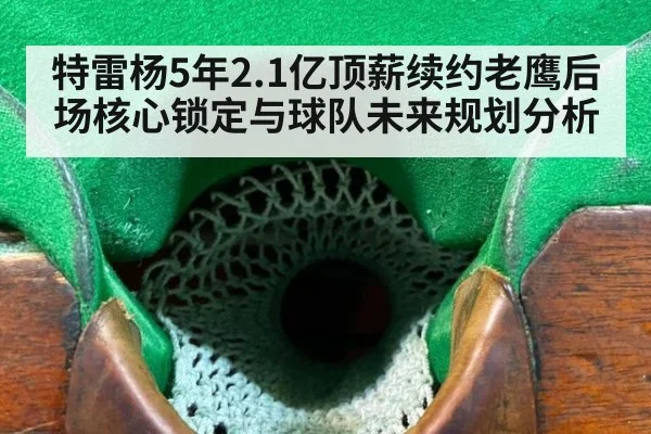 特雷杨5年2.1亿顶薪续约老鹰后场核心锁定与球队未来规划分析